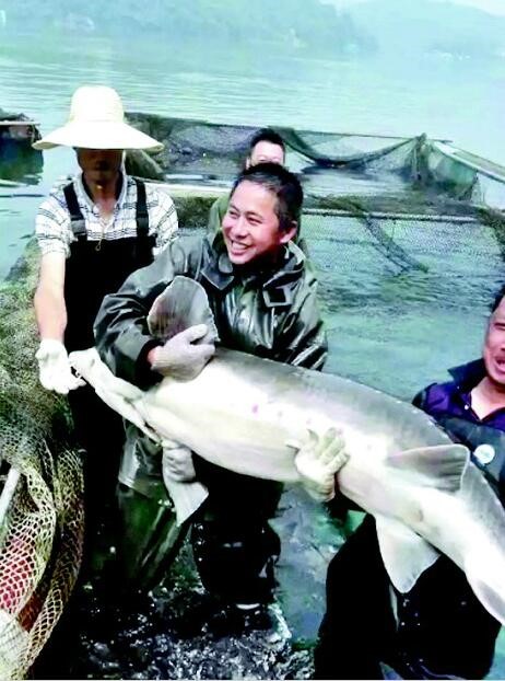 湖北長陽2400萬斤清江魚愁銷路 福中小6水產(chǎn)網(wǎng)急援手 title=