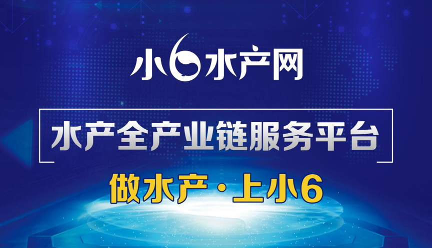 小6水產(chǎn)網(wǎng)獲評江蘇省農(nóng)業(yè)電子商務(wù)示范單位 title=