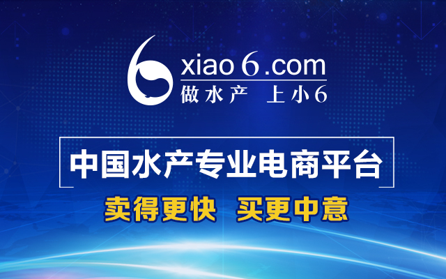 福中小6水產(chǎn)網(wǎng)成為中國B2B行業(yè)協(xié)會理事單位 title=